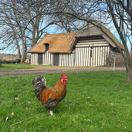 مبيت وإفطار Sainte-Opportune-la-Mare Le Domaine Caribou المظهر الخارجي الصورة