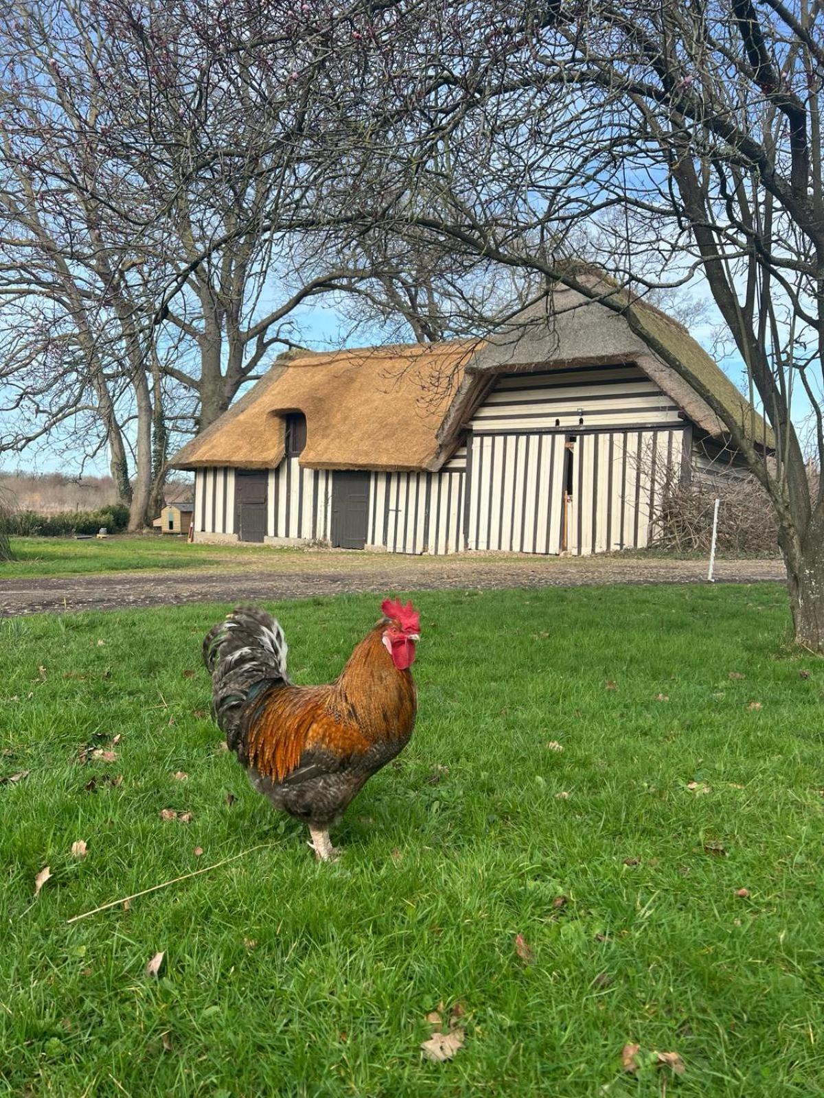 مبيت وإفطار Sainte-Opportune-la-Mare Le Domaine Caribou المظهر الخارجي الصورة